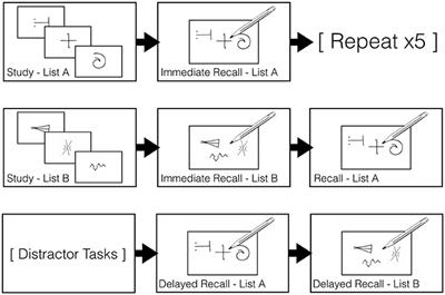 SLC6A3 Polymorphism Predisposes to Dopamine Overdose in Parkinson's Disease